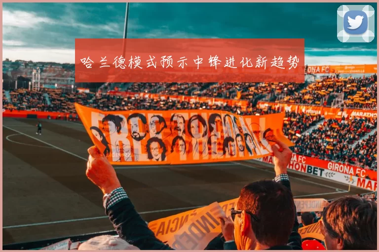 哈兰德模式预示中锋进化新趋势