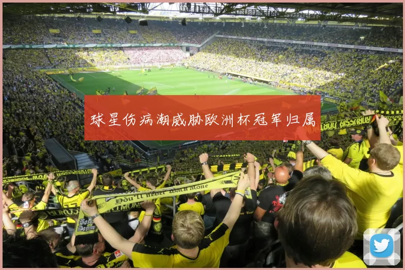 球星伤病潮威胁欧洲杯冠军归属