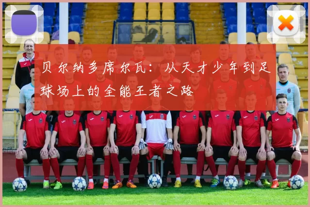 贝尔纳多席尔瓦：从天才少年到足球场上的全能王者之路