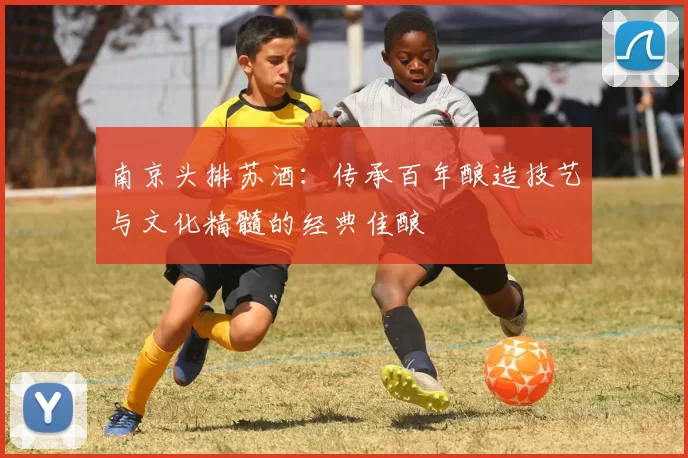南京头排苏酒：传承百年酿造技艺与文化精髓的经典佳酿