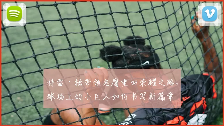 特雷·杨带领老鹰重回荣耀之路，球场上的小巨人如何书写新篇章