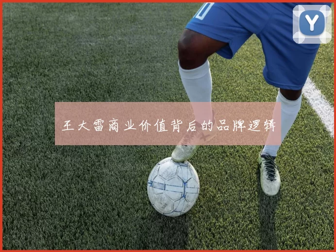 王大雷商业价值背后的品牌逻辑